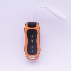 최신필립스오디오