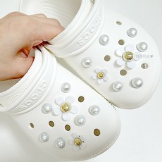 데이지지비츠