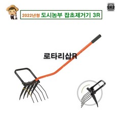 돌고르기