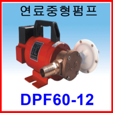 대화 전기 펌프 DPF60-12 중형 연료 배수 펌프 DC 12V, 1개