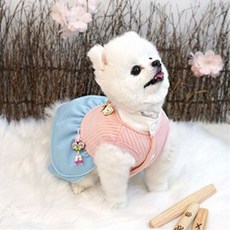 패리스독단아한복