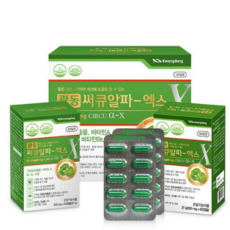 광동 써큐알파-엑스 4개월분 은행잎 추출물 영양제, 60정, 4개