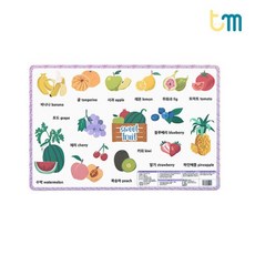 토이미소자석보드