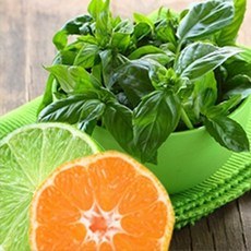 라임바질만다린프레그런스오일