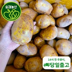 ( 승재농산 ) 국내산 햇 감자 ( 왕특/특 ) 랜덤배송 3kg 5kg 10kg, 1개