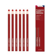 모닝글로리채점용색연필