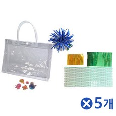 투명비치백교구