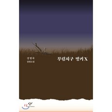 부림지구 벙커X (큰글자도서), 창비, 강영숙 저