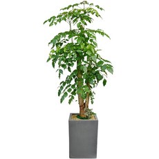 6893e6675e57146e4f93eab2b925a91844084f0d9f9a9d4278031a581ea6.jpg