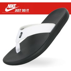 사푸라이나비침