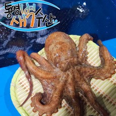 살아있는문어