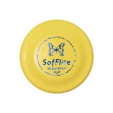 바람펫피트니스프로