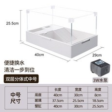 레이저백거북이