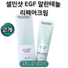 트러블SOS템 트러블케어 미백 보습 붉은기 손상케어 스크래치 리페어케어 진정크림 여드름 피부자생력 턴오버 알란토인 재생크림 수분 EGF크림 egf알란테놀 EGF 알란테놀 리페어크림, 2개, 70ml