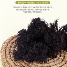 세모가시리