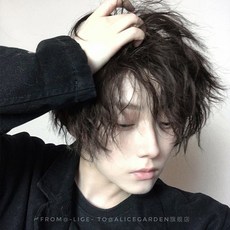 BLAVALLEY 남자가발 멋진 짧은 생머리 패션 통가발G1, 사진색
