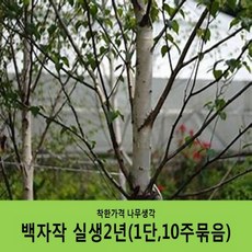 db5d5daab4d02158be2e0bb965c93ecc9cb4e8a2f65300a82cacf635313c.JPG