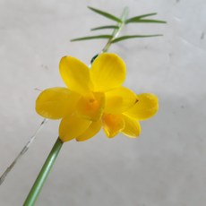 죽도석곡