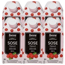 본네 아세로라 퓨레 주스 500ml x6개, 상세페이지 참조, 상세페이지 참조, 상세페이지 참조