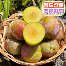 [고당도] 푸룬자두 생과 산지직송, 1개, 1kg