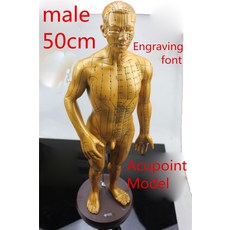 인체 전신 뼈 모형 모델 의료 HD 맑은 남성 전기 도금 순수 구리 인체 경락 침술 포인트 하드 모델 조각 글, 한개옵션0
