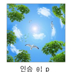 엘리베이터천장