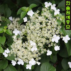 7413c1958cf27bf9c90f8967887c5dc3cb3a0f1ea1a905cb7d04c87d5f80.jpg