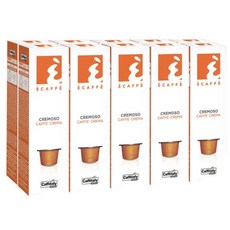 카피탈리시스템