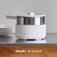 전기찜기 계란 쿠커 만두 스텐 고구마 튀김기, 2.5L 올스틸 0코팅