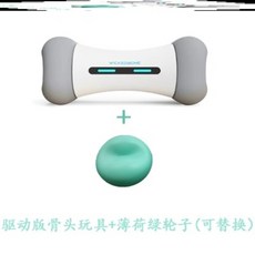 반려동물펫푸드스타일리스트