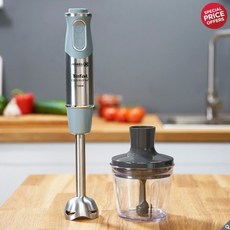 테팔 마스터 블렌드 핸드블렌더 HB65IDKR