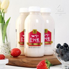 위즈웰요거트