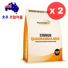 호주코알라몰 시서스 가루 10배농축 분말 250g 2개 벌크뉴트리언츠 Cissus