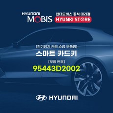 현대모비스 스마트 카드키 (95443D2002), 1개