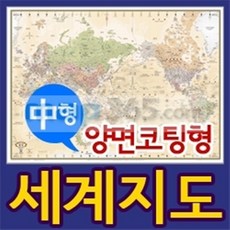 뉴월드세계지도