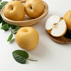 나주배 가정용/특품 3kg 5kg 15kg 산지직송, 1개