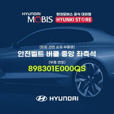 현대모비스 안전벨트 버클 중앙 좌석 (898301E000QS), 1개