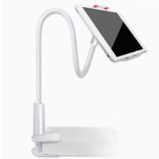 이월드수국축제