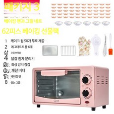 원룸 자취 전자레인지 고구마 전기 오븐기 소형 미니, E_12L 파우더 타이밍 스타일 + 패키지 3