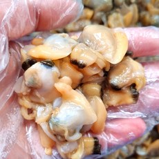 남해안 손질 깐 바지락 1kg 순살 조개 바지락 조개탕 국물요리 바지락탕, 1개