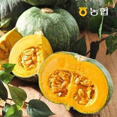 [자연맛남] 농협선별 영암 단호박 5kg (10-12입), 1개