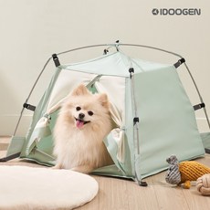 따수미프리미엄민트