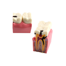 d9c23d89dcc4d43c81a25c27ae1f400245ada0de0a31fed8e80f2320127b.png