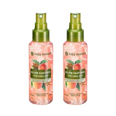 이브로쉐 피치 스타 아니스 퍼퓸 미스트 스타 아니스향, 100ml, 2개