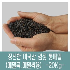 [다온농산] 2022년산 수입 미국산 검정메밀(통메밀) -20Kg- 정선과정 2회 이상 깨끗, 1개