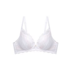 에블린플로랄뮤즈