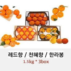 제주 레드향+한라봉+천혜향 세트 (각 1.5kg 총 4.5kg)