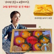 [한천레드]제주 고당도 프리미엄 한라봉 천혜향 레드향 명절 설 선물세트, 1박스, 한라봉 3kg (9-12과 / 보자기포장)