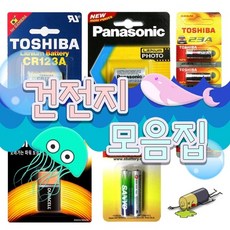 건전지 모음집, CR123A 3V카메라용.CR2450 리튬건전지3V