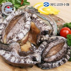 [완도금일수협] 활 참전복(특특대) 1.5kg(9-11미), 1개